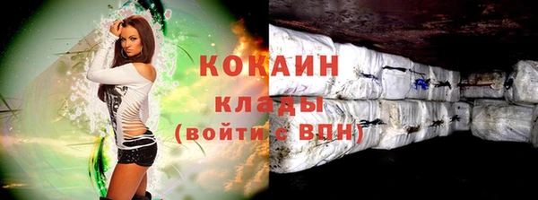 спиды Горняк